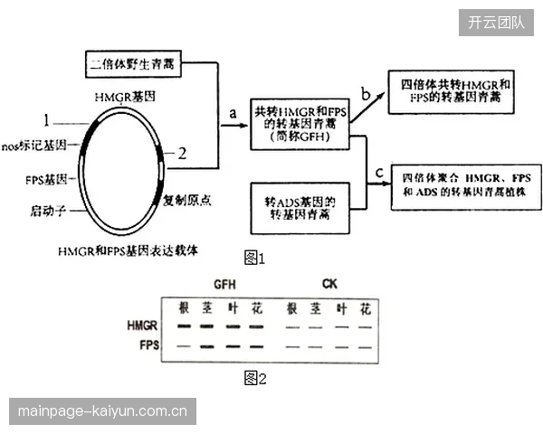从单一输出向生态协同演进 技术合作体联动拓展变现路径